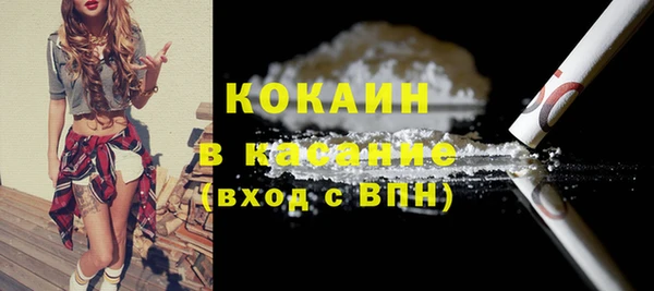 стафф Вязьма