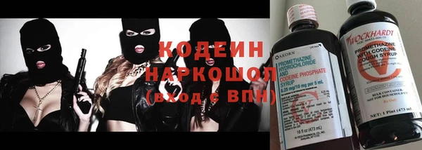молекула духа Волоколамск