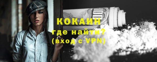 молекула духа Волоколамск