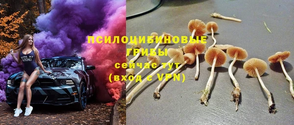стафф Вязьма