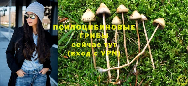 Альфа ПВП Володарск