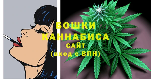молекула духа Волоколамск